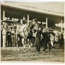 Phar Lap, Champion Race Horse (1926.